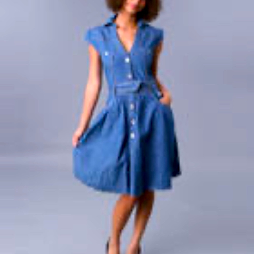 Y2K Apple Bottoms Lucy Denim Open Back Fit and Flare button down dress M